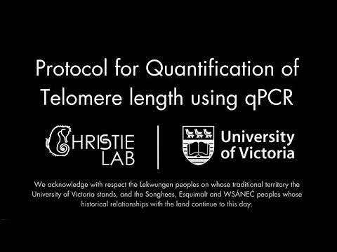 qPCR: Protocol for Telomere Length Quantification