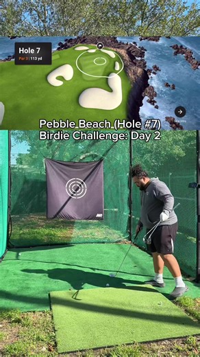 Day 2 - The crowd is so disappointed in me #daddoesthat #hometeehero #garminR10 #birdiechallenge