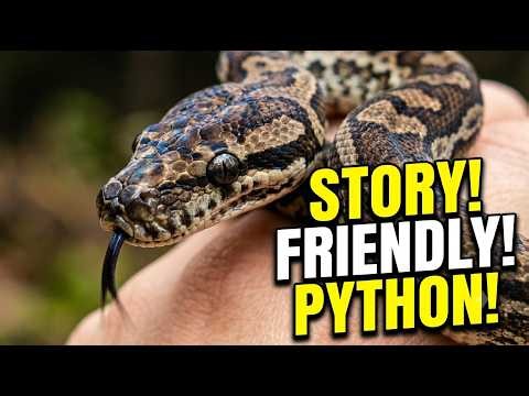Meet Australia's Friendliest Python? The Amazing Children's Python Story