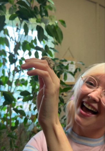 Exploring Geckos on MorphMarket: A Reptile Lover’s Guide