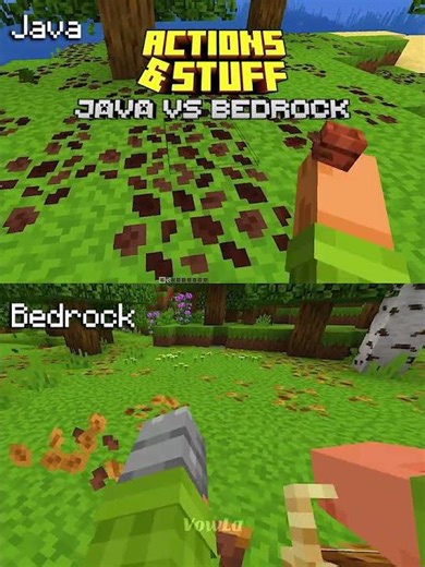 Minecraft Actions and Stuff Java vs Bedrock Part 6