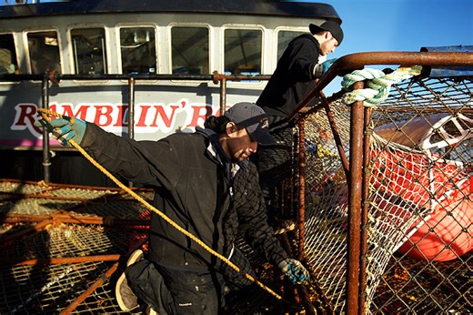 Deadliest Catch (2005) | ČSFD.cz