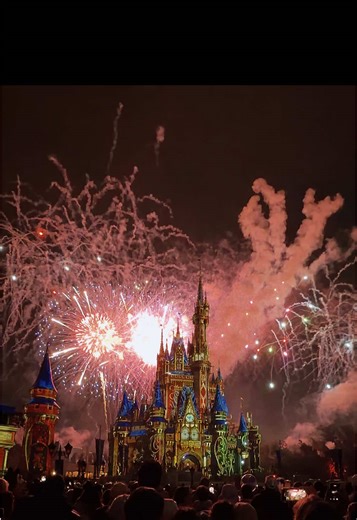 Dream Come True at Disney World ✨