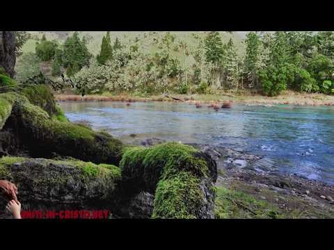 IL VERSETTO DEL GIORNO - Deuteronomio 6:17