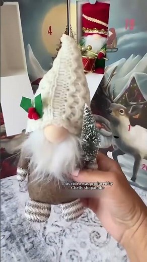 ✨ Countdown to Christmas with 24 Adorable Mini Gnomes!