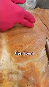 Fiber Orientation in the Pec Major