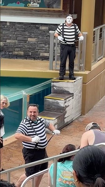 Another mime? Tom the mime SeaWorld #seaworldmime #tomthemime #funny #comedy