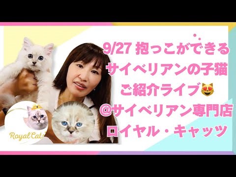 Ultra Blue Eyes' Noel makes her debut 💎 Saturday, September 27th, 12:15pm - Introducing a cuddly ...