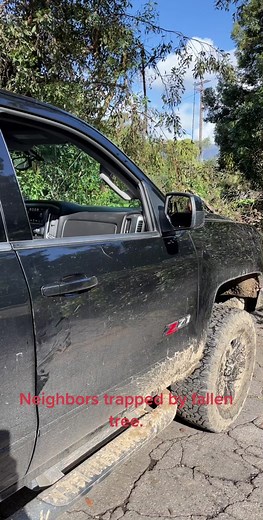 Rob Lowe (@roblowe)’s videos with original sound - Rob Lowe