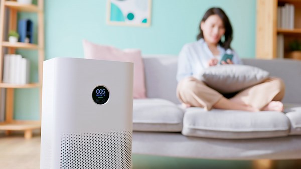 Why Humidifiers And Air Purifiers Are All-Weather Must-Haves