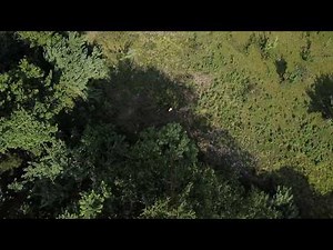 Drones: Flying Through a Drone Congregation Area (DCA)