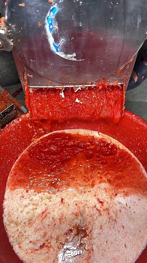 Making of Rajasthani Spicy Lehsun की Chutney from Scratch | Indian Food Mania