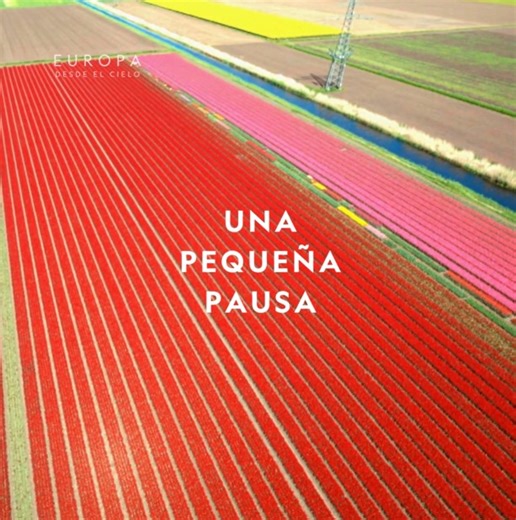 Los tulipanes llegaron a Holanda en el siglo XVI, importados por el Imperio Otomano. Desde entonces, se ha convertido en una flor muy representativa del país. Tómate unos segundos de paz admirando la belleza que esconden estas flores en este increíble vídeo, de la serie “Europa desde el cielo”. | National Geographic