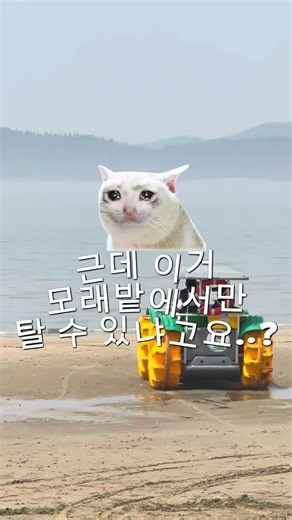 서천 갯벌체험 후 어디 갈까? 🌊갯벌에서는 자연을 체험하고, 춘장대에서는 바다를 직접 체험하세요!모래사장에서 바다까지 그대로 들어가는 새로운 해양체험 SeaTrak(씨트랙).서천