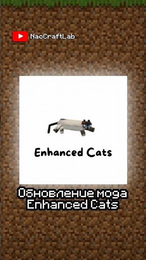Improved cats in Minecraft! - Enhanced Cats 0.5 #minecraft #mods