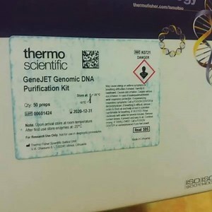 GeneJET Genomic DNA Purification Kit Thermo Scientific 50 Preparation | S.R. Laboratory Care