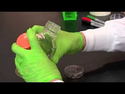How To Make Microbiological Media