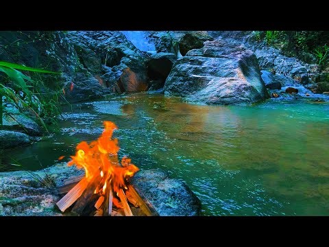 Cozy Campfire by a Clear Forest Stream