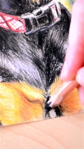 When Pastels Breathe Life 🐾 Dog Portrait Painting #shorts #pasteldrawing #petportrait #artwithsoul