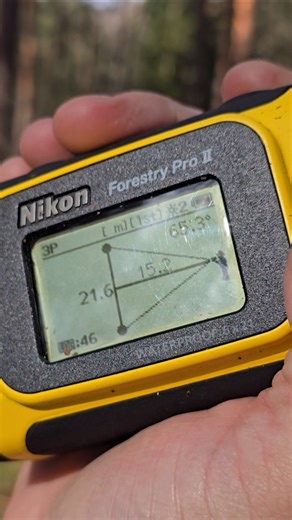 Spacerki po lesie: Pomiar wysokości przy użyciu Nikon forestry PRO II. Tak się mierzy samo. Bogactwo