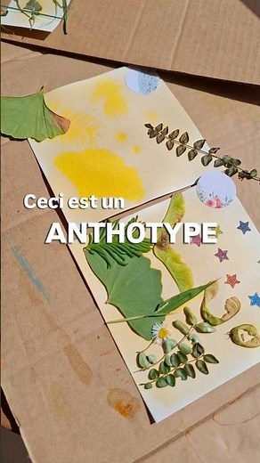 Anthotype : le cyanotype sans produit chimique