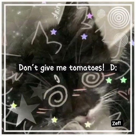 i might change my pfp since its spooky season