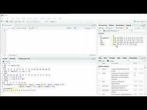 1.2 R-Kurs Variablen erstellen