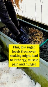 Struggling to soak winter hay? Could you ditch the soak and feed smarter? | Forageplus