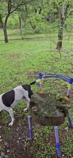 Filipa y Carlota en ACguarderia