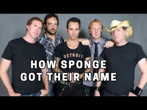 How Sponge Got Their Name Absorbing Rock Influences into a Unique Identity