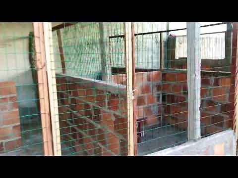 Ideias como fazer um Canil SIMPLES E ORGANIZADO