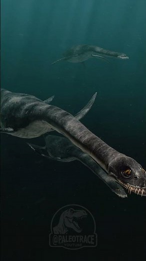 plesiosaurs #dinosaurs #prehistoric #mosasaurus #jurassicworld #blender #ichthyosaurus #megalodon