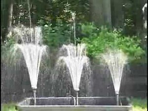 Circulation Pumps - Building the Perfect Pond