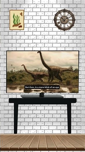 Copy of Copy of Copy of Your paragraph text 1