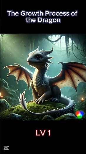 The Growth Process of the Dragon