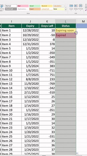 Create an expiry tracker on your Microsoft Excel #exceltips #yp #tips #tricks #exceltutorial