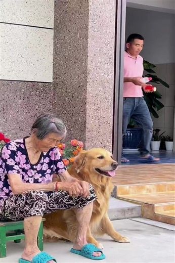 2.2M views · 66K reactions | The bad old man is just an angry #gooddog #dogfunny #Smart #grandma | DOG LOVER | Facebook