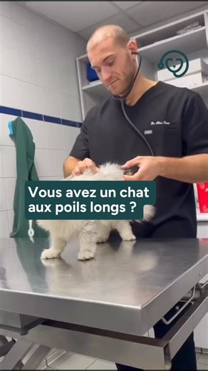 🐶🐱 SEVETYS on Instagram: "Un point essentiel à garder en tête quand on adopte un chat à poils longs : le peigner régulièrement. 🙏🏻 En le peignant plusieurs fois par semaine, vous retirez les poils morts, les petits noeuds et les saletés, ce qui lui évite d’ingérer des bourres de poils pouvant occasionner un trichobézoard. Plus vous habituerez votre compagnon dès son plus jeune âge à être brossé, plus ce sera un moment de complicité avec lui. ❤️ Dites-nous, à quelle fréquence brossez-vous vot