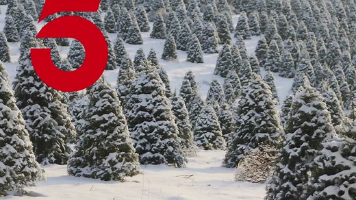 Top 5 Reasons To Visit Live Oak Canyon between Nov 24 - Dec 31: 1. Holiday Magic Christmas Tree Farm 2. Train Ride through the Garden of Lights 3. Family Photos at Santa's Village 4. Expanded Ice Skating Rink 5. Hot Cocoa & Smores by the Fire Pits More info: https://liveoakcanyon.com/christmas/ #liveoakcanyonchristmastreefarm #visitsanta #christmaslights