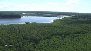 1.6K views · 92 reactions | #WRC - Watch the best moments from Sunday at the 2021 WRC - FIA World Rally Championship Rally Estonia  ⬇ | FIA | Facebook