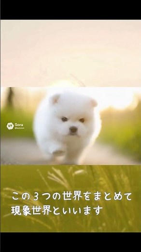 03 谷口雅春先生のみ教え