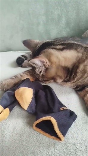 Le bébé a plus besoin de mes chaussettes que moi😺😸🫣😄😄😄