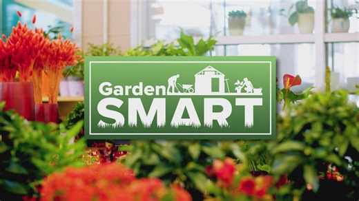 Garden Smart | Easy tips for thriving veggies, colorful shrubs & pest-free blooms