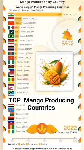 Top Mango Producing Countries in the World 🥭 | Largest Mango Producers by Country
