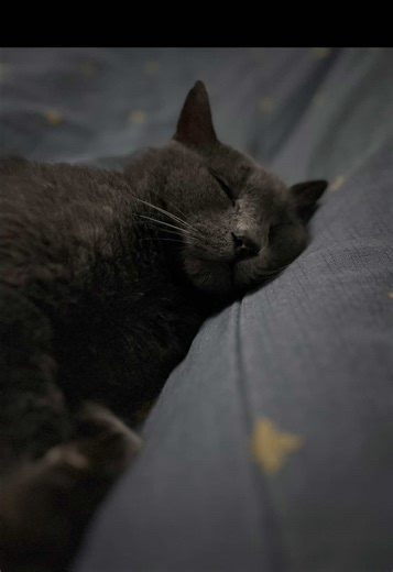 Te extraño tanto: un mensaje de amor y anhelo