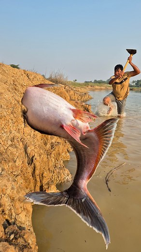 1.7M views · 27K reactions | Unbelievable technique fishing in the river Sand hill hole #fish #fishing #video | Fisherman Animal Lover-Original | Facebook