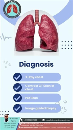 What Lies Between Your Lungs? Understanding the Mediastinum.