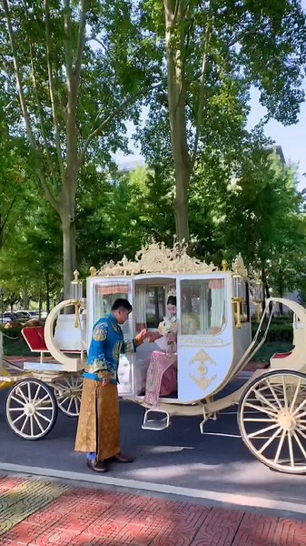 Royal Horse Drawn Carriage Ride for Wedding Days