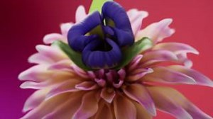 2.1K views · 87 reactions | We’re racing against time to decarbonize our economy. Networks have the potential to accelerate low-carbon solutions for all. That’s sustainability to the power of n. See how the exponential potential of networks can boost sustainability: https://nokia.ly/45XIn9f | Nokia | Facebook