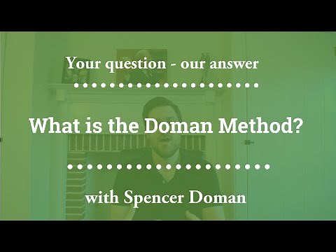 What is the Doman Method